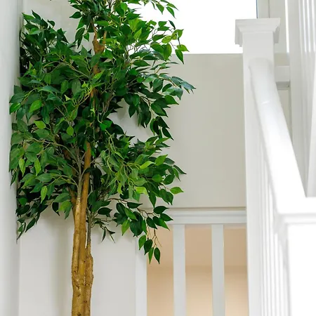Bed & Breakfast Sandbury Town House *