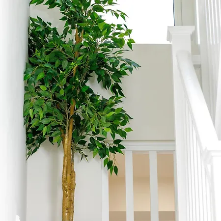 Couette-café Sandbury Town House Kilkenny