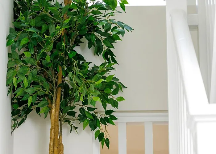 Bed & Breakfast Sandbury Town House 3*