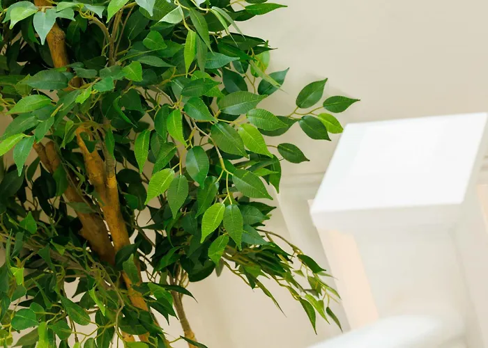 Sandbury Town House 3*