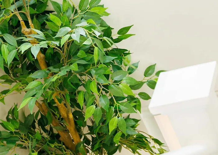 Sandbury Town House 3* Kilkenny