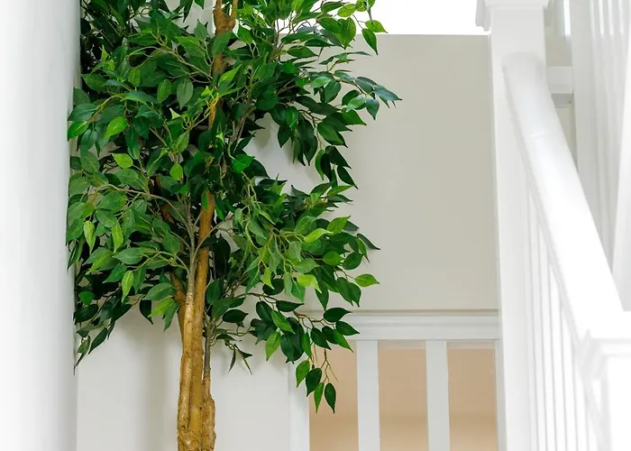 Bed & Breakfast Sandbury Town House Kilkenny